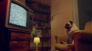 Wide open pussy – Katy Rose spreads for Katrina Moreno who eats her nonstop | Benefit Monkey