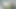 Tinker Bell cosplay with anal masturbation and prolapse